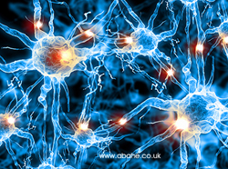 العته والهذيان والأمراض النفسية العته والهذيان والأمراض النفسية